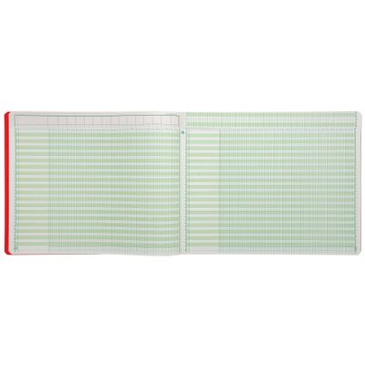 3130632181505-Exacompta - Piqûre à tête paresseuse - 15 colonnes sur 1 page - 29,7 x 38 cm - 80 pages--5