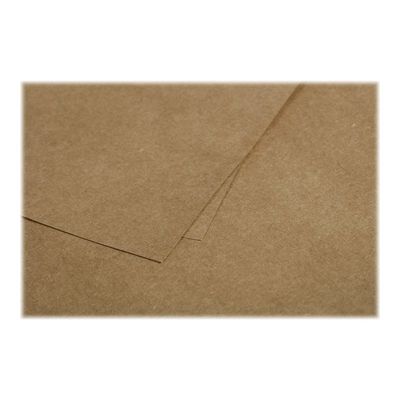 3329680290059-Pollen - 20 Enveloppes - 110 x 220 mm - 135 g/m² - kraft-Gros plan-1