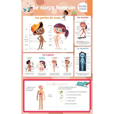 3133097359526-Poster effaçable : le corps humain--0
