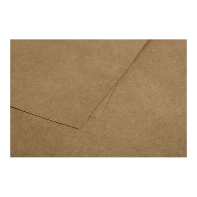 3329680290127-Pollen - 25 Cartes - 160 x 160 mm - 200g/m² - kraft-Gros plan-1