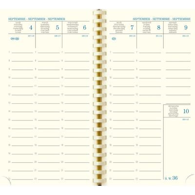 3660942076210-Recharge pour Agenda SAD 16S - 1 semaine sur 2 pages - 16 mois - 9 x 16 cm - Exacompta--0