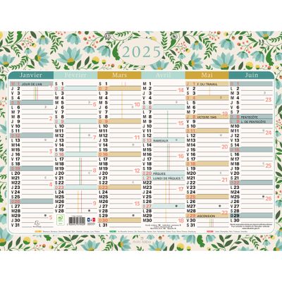 3660942079020-Calendrier Mini Labo - 6 mois par face - 43 x 33,5 cm - Exacompta--0