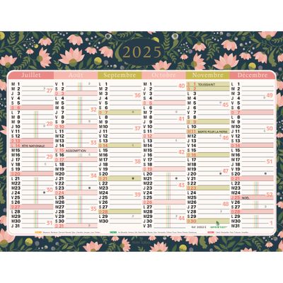 3660942079020-Calendrier Mini Labo - 6 mois par face - 43 x 33,5 cm - Exacompta--1