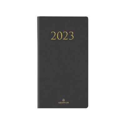 3664447129259-Agenda de poche Kiev - 1 semaine sur 2 pages - 9,5 x 17,5 cm - gris - Oberthur--0