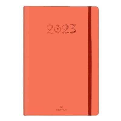 3664447131696-Agenda à élastique Cachemire - 1 semaine sur 2 pages - 17 x 24,5 cm - corail - Oberthur--0