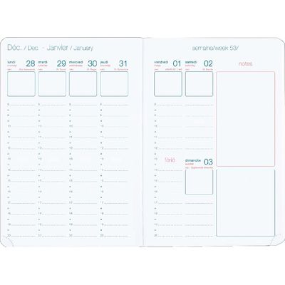 3664447131696-Agenda à élastique Cachemire - 1 semaine sur 2 pages - 17 x 24,5 cm - corail - Oberthur--1