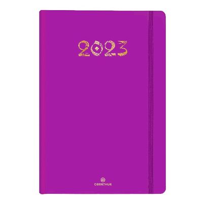 3664447131702-Agenda à élastique Cachemire - 1 semaine sur 2 pages - 17 x 24,5 cm - violet - Oberthur--0
