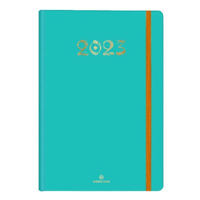 3664447131719-Agenda à élastique Cachemire - 1 semaine sur 2 pages - 17 x 24,5 cm - vert - Oberthur--0
