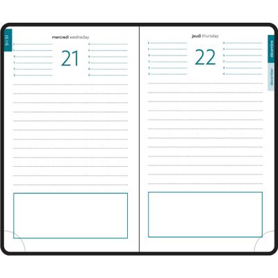3660942080699-Agenda de poche Eden EasyDay - 1 jour par page - 10 x 15 cm - or doux - Exacompta--2