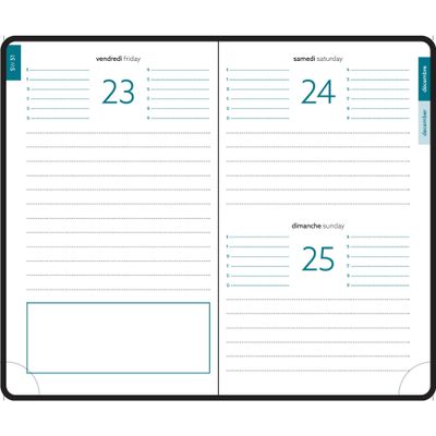 3660942080699-Agenda de poche Eden EasyDay - 1 jour par page - 10 x 15 cm - or doux - Exacompta--3