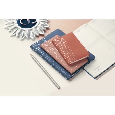 3660942086547-Exacompta - Agenda 2024-2025 - mois à afficher - agrafé - 21 - 150 x 210 mm - 64 pages - papier blanc - --1