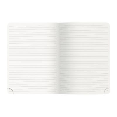 3660942086714-Exacompta Mini Labo All In One - Recharge pour bloc-notes - 150 x 210 mm - 32 feuilles / 64 pages - papier blanc - ligné ---2