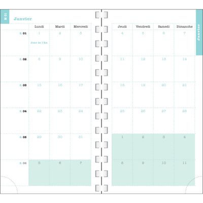 3660942085779-Exacompta - Dodo & Cath 16W - Agenda de poche - 90 x 160 mm--2