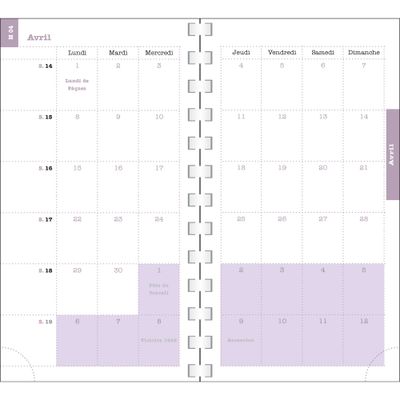 3660942085779-Exacompta - Dodo & Cath 16W - Agenda de poche - 90 x 160 mm--4