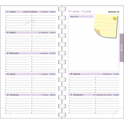 3660942085779-Exacompta - Dodo & Cath 16W - Agenda de poche - 90 x 160 mm--5