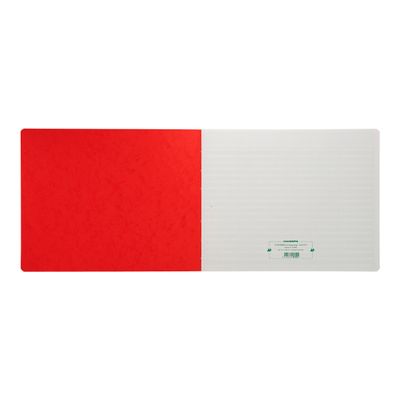 3130632181505-Exacompta - Piqûre à tête paresseuse - 15 colonnes sur 1 page - 29,7 x 38 cm - 80 pages-Avant-0