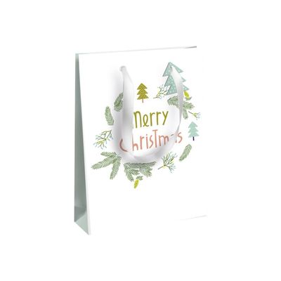 5033601497943-Clairefontaine Neige - Sac cadeau medium - 21,5 cm x 10,2 cm x 25,3 cm-Angle gauche-0