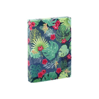 3135252218716-Viquel Tropical - Boîte de classement plastique - dos 45 mm - bleu ou noir-Angle gauche-1