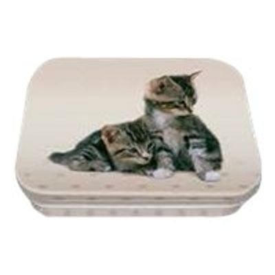 3108720488515-Oberthur Chatons - Boîte à bons points--0