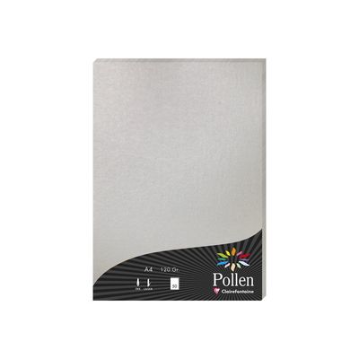 3329680041996-Pollen - 50 Feuilles papier couleur - A4 (21 x 29,7 cm) - 120 g/m² - argent-Angle droit-0