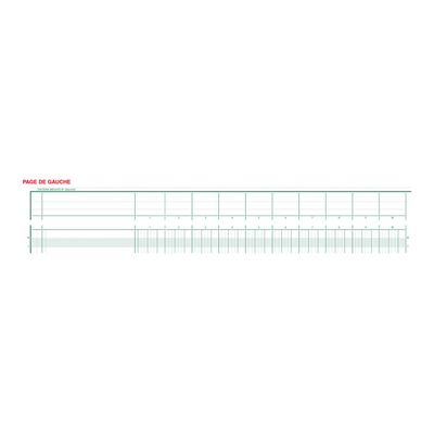 3130632162405-Exacompta - Piqûre à tête paresseuse - 24 colonnes sur 2 pages - 27 x 32 cm - 80 pages-Avant-0