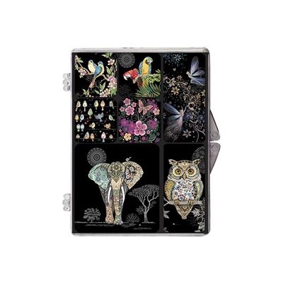 3700572715735-Kiub Bug Art - Boite Magnets Epoxy - Visuels divers oiseaux-Avant-0