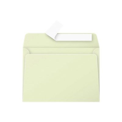 3329680554762-Pollen - 20 Enveloppes - 114 x 162 mm - 120 g/m² - vert bourgeon-Avant-0