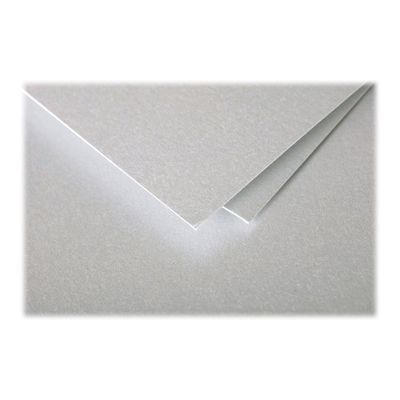3329680041996-Pollen - 50 Feuilles papier couleur - A4 (21 x 29,7 cm) - 120 g/m² - argent-Gros plan-2