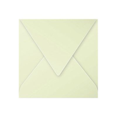 3329680554786-Pollen - 20 Enveloppes - 140 x 140 mm - 120 g/m² - vert bourgeon-Avant-0