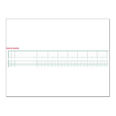 3130632161705-Exacompta - Piqûre tête paresseuse - 17 colonnes sur 2 pages - 27 x 32 cm-Gros plan-1