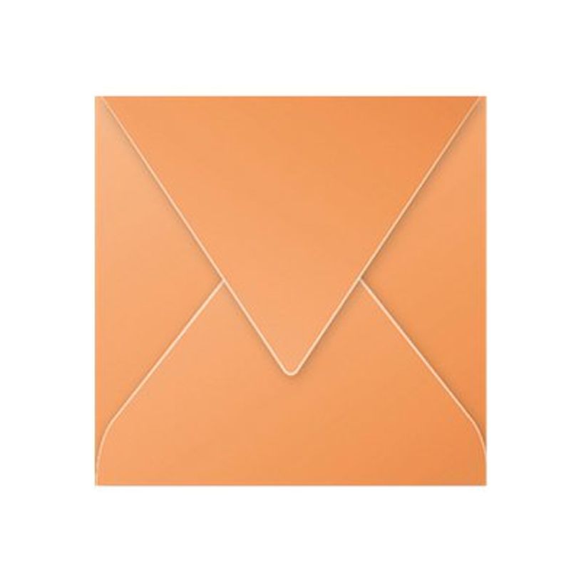 3329680559804-Pollen - 20 Enveloppes - 140 x 140 mm - 120 g/m² - clémentine-P_5598_1-0