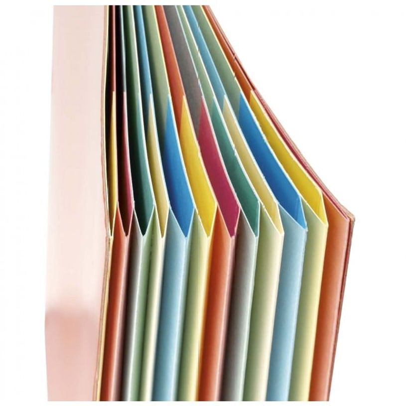 3068592247057-Extendos - Trieur 7 positions - vert-P_22307_1-0