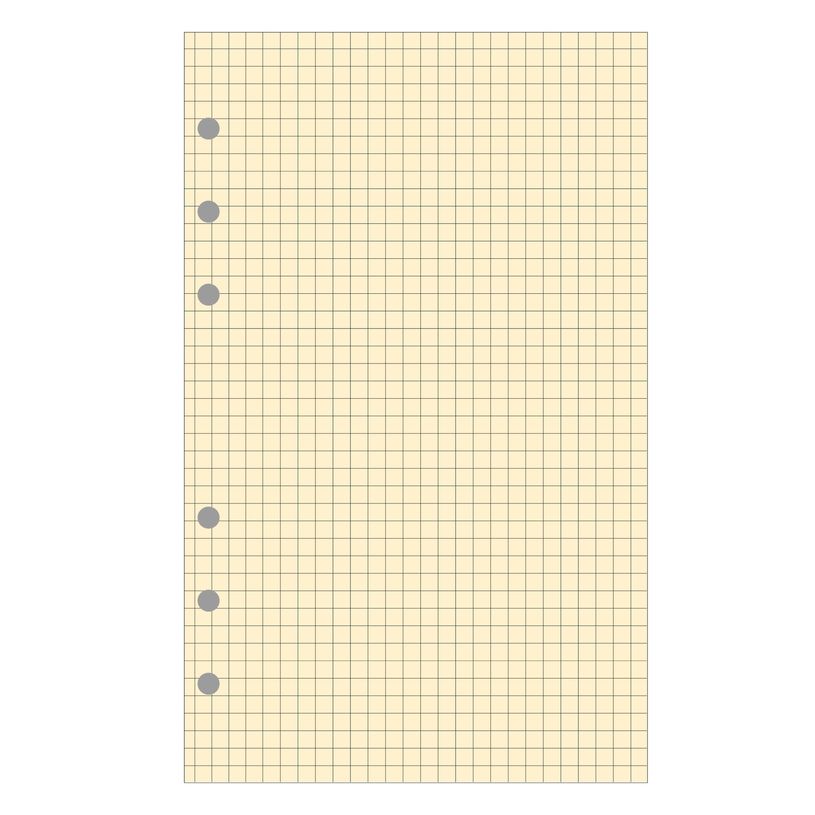 3130630282112-Exacompta Exatime 21 - Recharge pour organiseur - bloc note quadrillé - 14,2 x 21 cm-P_28211_1-0