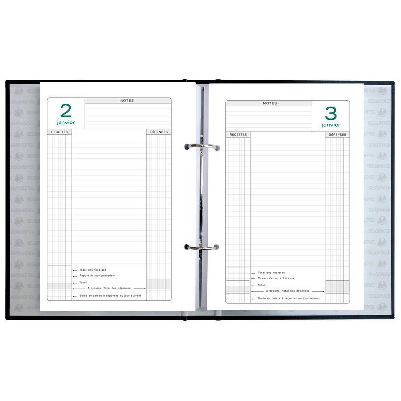 3130630389736-Recharge d'agenda Perpétuel de caisse - 1 jour par page - 16 x 24 cm - feuilles mobiles 2 tro-P_38978_3-1
