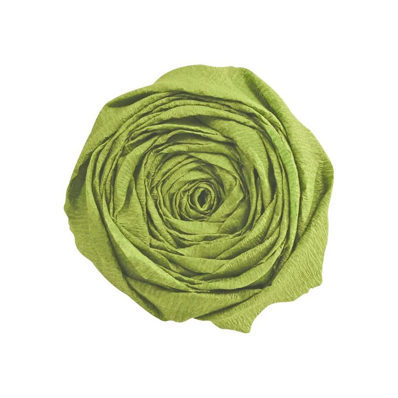 3329680951554-Clairefontaine - papier - Rouleau (50 cm x 2,5 m) - vert mousse - papier crépon-P_300003912_3-0
