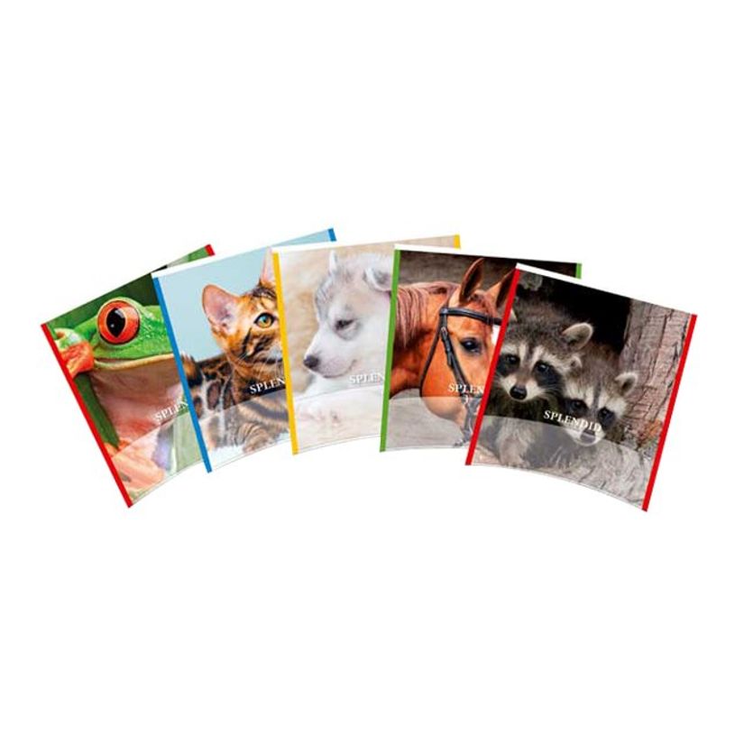 403000106527-Aurora Splendid - cahier d'exercice - 165 x 210 mm - 72 pages-P_300010652_1-0