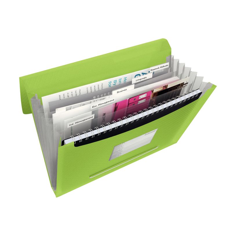 4049793028415-Esselte Vivida - valisette - pour A4 - capacité : 300 feuilles - à onglets - vert vif-P_300019815_1-1
