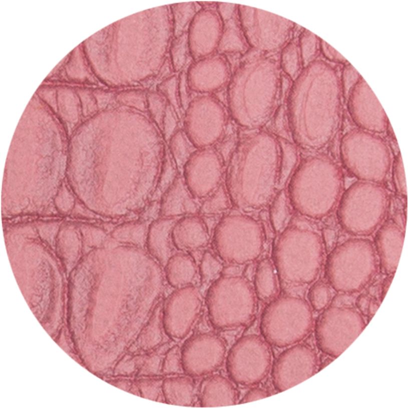 3660942068086-Baby-Croco - Organiseur 16 mois - 11 x 14,5 cm - vieux rose - Exacompta-P_400000725_3-2