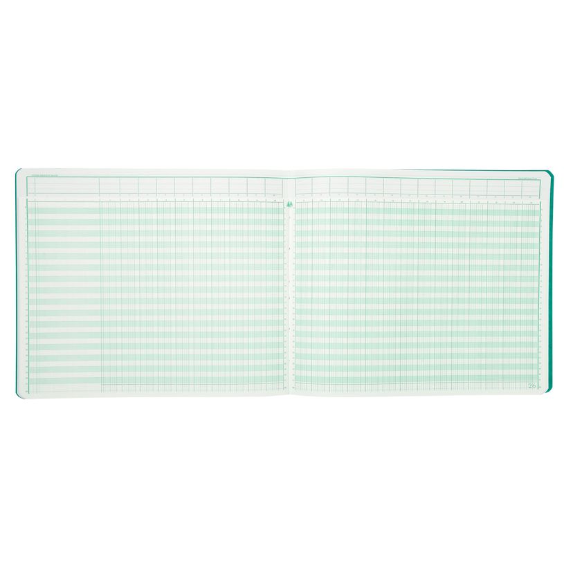 3130632162405-Exacompta - Piqûre à tête paresseuse - 24 colonnes sur 2 pages - 27 x 32 cm - 80 pages-P_400005512_6-5
