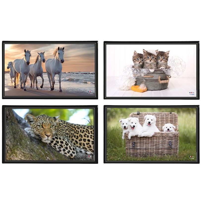 3135251382876-Viquel - Sous-main Animaux - 59,8 x 36,5 cm - disponible dans différents modèles-P_400008663_1-0
