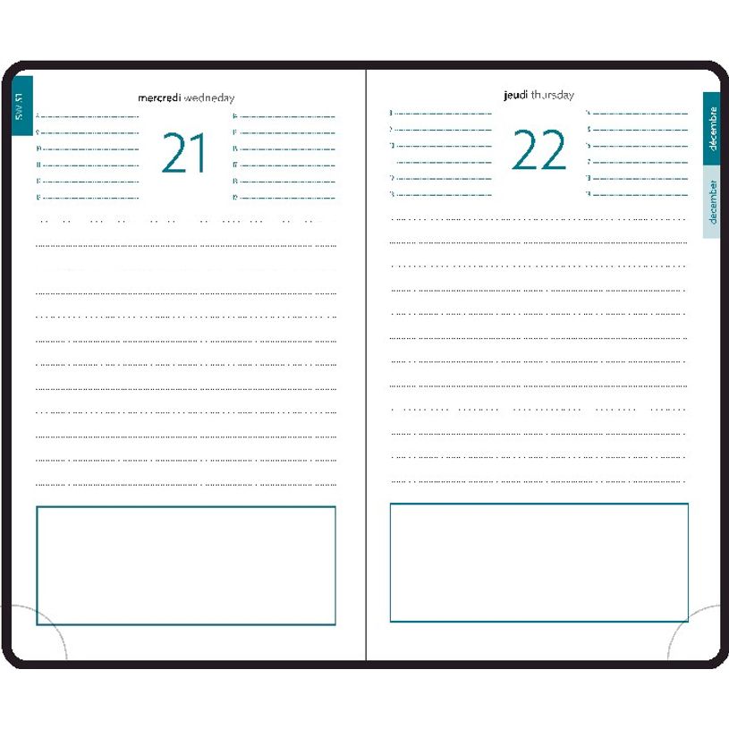 3660942074247-Agenda de poche Cassiopée EasyDay - 1 jour par page - 10 x 15 cm - disponible dans diffé-P_400009203_5-4