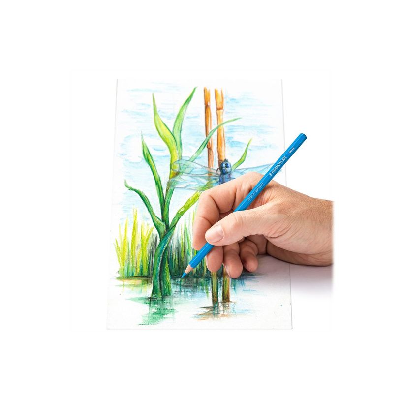 4007817052259-STAEDTLER 146 10C - crayon de couleur - souple - noir, rouge, bleu, vert, bleu clair, jaune, orange, pêche, mauve foncé, vert saule, bordeaux-P_405111310_1-4