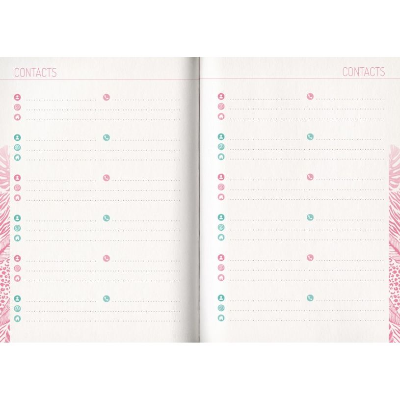 3592930019636-Agenda broché Python - 1 jour par page - 12,5 x 17,5 cm - Bouchut-P_405114206_10-9