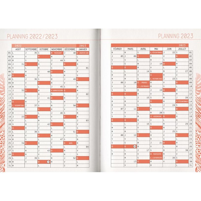3592930019636-Agenda broché Python - 1 jour par page - 12,5 x 17,5 cm - Bouchut-P_405114206_5-4