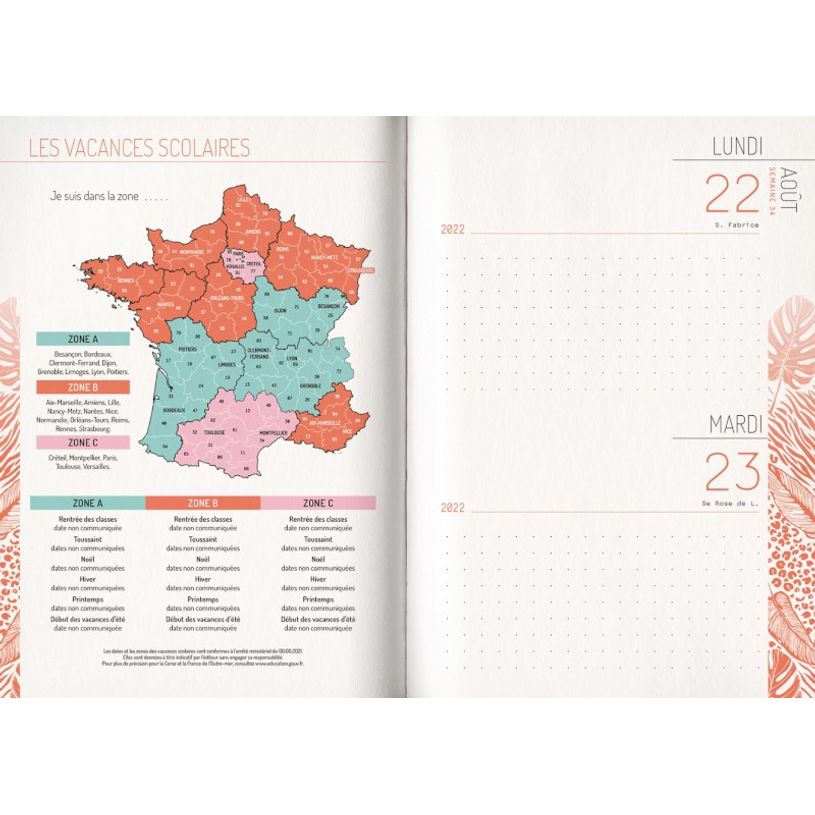 3592930019636-Agenda broché Python - 1 jour par page - 12,5 x 17,5 cm - Bouchut-P_405114206_6-5