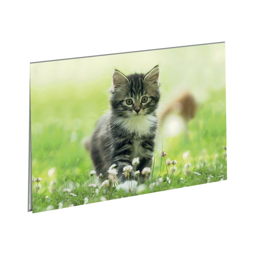 3664447114835-Oberthur Chaton Nature sous-main-P_405114674_1-0