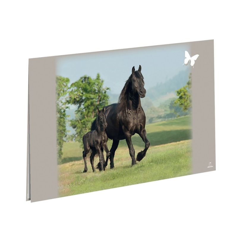 3664447114880-Oberthur Cheval COMPLICE sous-main-P_405114682_1-0