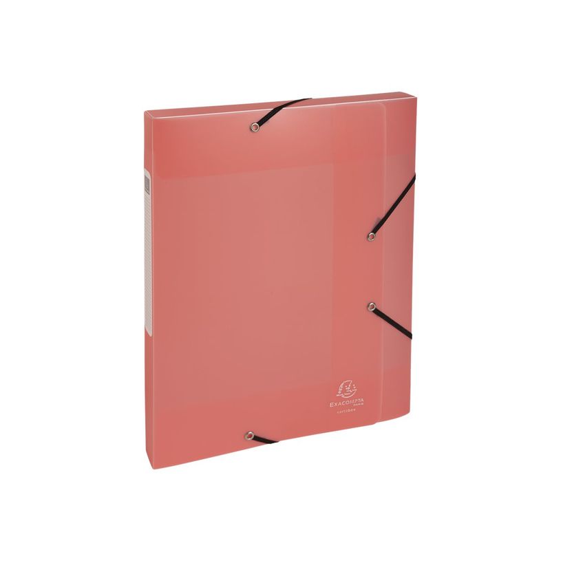 3130630591702-Exacompta Chromaline Pastel - Boîte de classement plastique - dos 25 mm - disponible dans-P_405117666_7-6