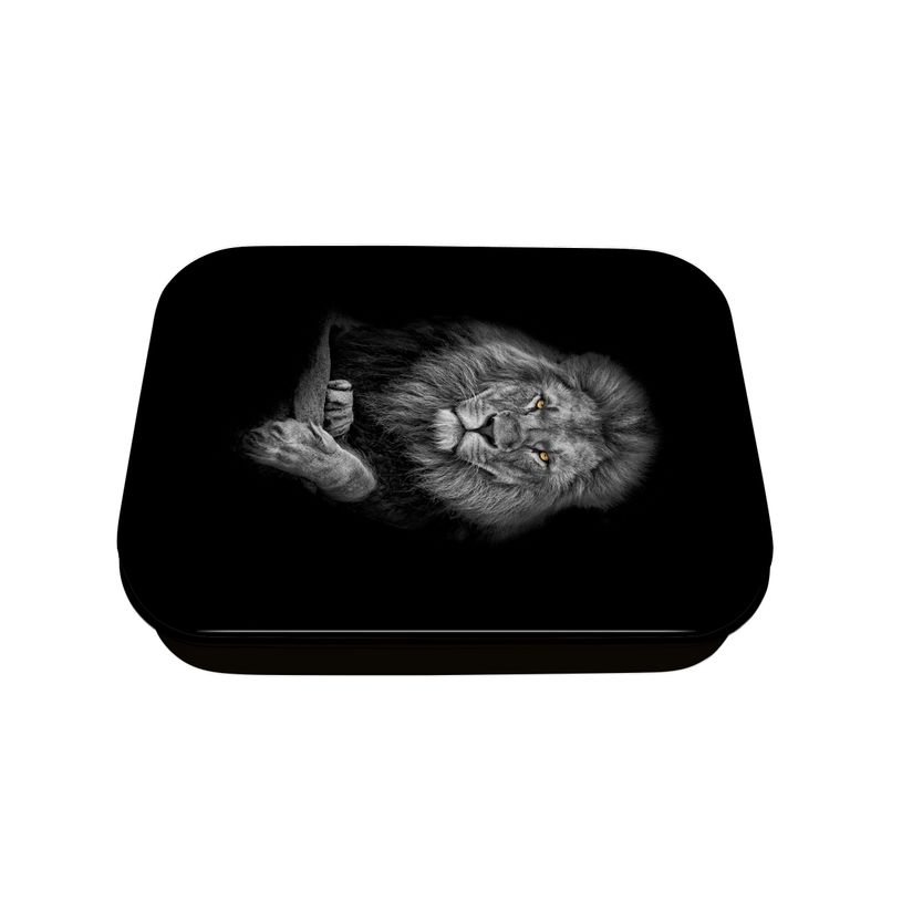 3664447147901-Boîte à bons points Animaux sauvages - Oberthur-P_405131855_1-0
