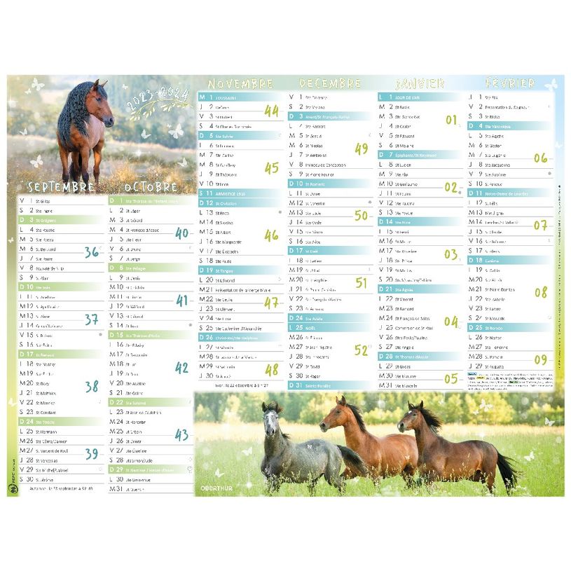 3664447138565-Calendrier Cheval - 7 mois par face - 32 x 42 cm - Oberthur-P_405132159_1-0